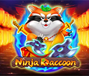 Ninja Raccoon